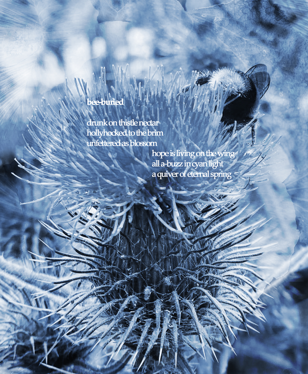 Bee Buried poem overlaid on a garden image