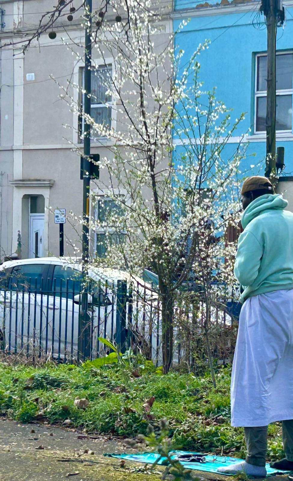 Early blossom in Clark Street Park